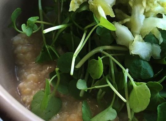 Thermomix Basic Congee