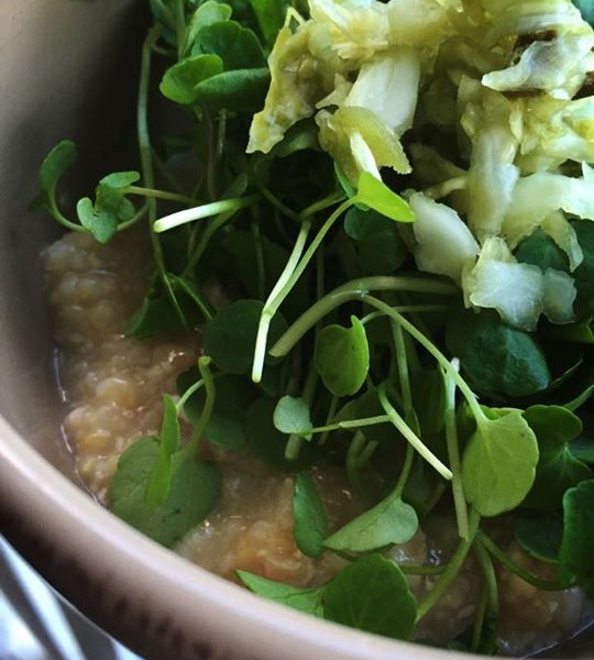 Thermomix Basic Congee